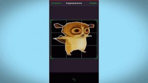 Самый легкий способ создать СТИКЕРЫ и гифки для WhatsApp. Делаем стикеры и гифки на смартфоне