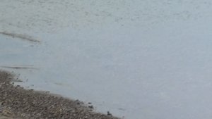 Обзор дикого пляжа в Лермонтово (Краснодарский край)