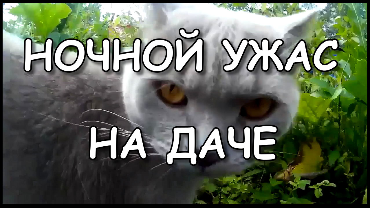 Жизнь на даче | Ночной ужас на даче |(реальная история).