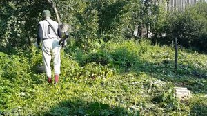 Скашивание травы и кустарника на заросшем участке электрическим триммером Huter GET-RS42B леска, но