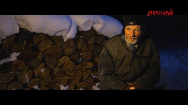 Волкодав
