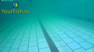 Воблер на щуку Kosadaka Synthez XL 55F