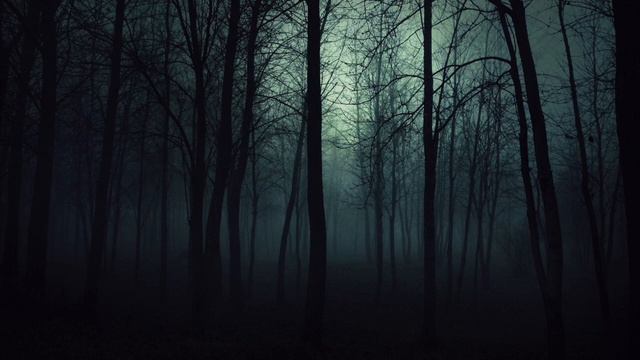 C.P.E. Bach - Trio for English Horn and Bassoon Wq 163 смотреть онлайн