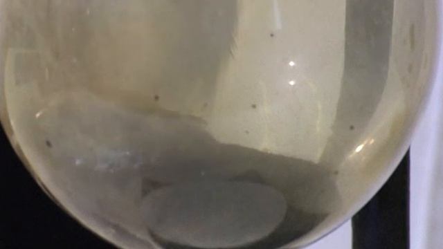 Получение хлора.wmv смотреть онлайн