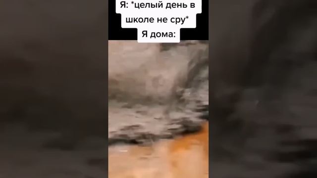 пов съел гороховый суп в школе