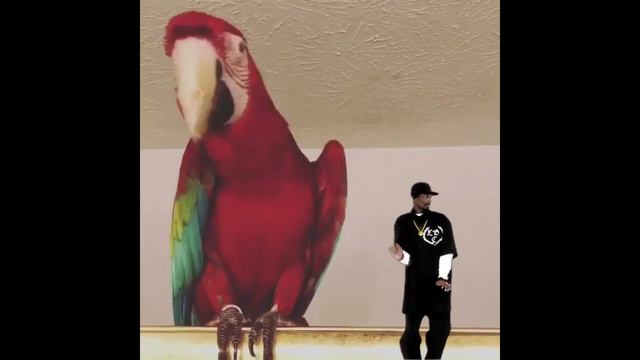 Лучше не знать, что у человека в голове смотреть онлайн