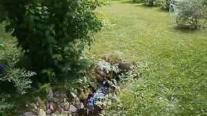 Водоем на даче для разведения форели.