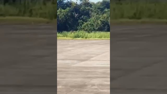 Helicóptero de EEUU aterrizan en Aeropuerto Gregorio Luperón de Puerto Plata