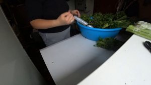 Сельдерей. Заготовка на зиму