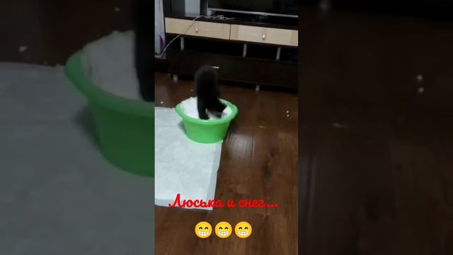 знакомство со снегом ?