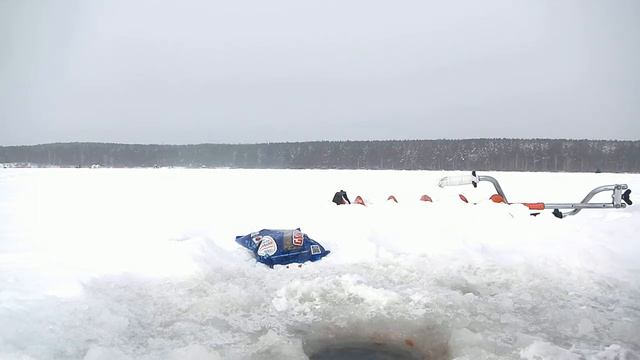Формула успеха - правильная прикормка, правильная насадка, подача приманки смотреть онлайн