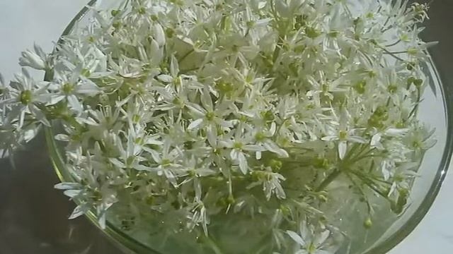 Чечня  Красота  вкусного букета.черемша.