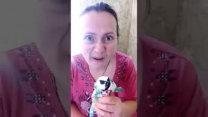 КЛИП 2021. Вячеслав Мясников -Жрица колбасы!  [ hamster_y_mosto] #клип #жрица  #юмор #trend #2021