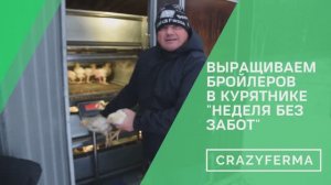 Посадил бройлеров и за 3 недели накормил всего 2 раза, а они все растут!