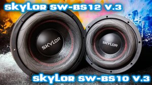 Обзор новинок от SKYLOR SW-BS10 v3 и SW-BS12 v3