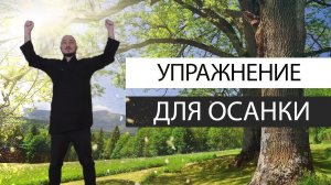 Упражнение для осанки 'Журавль стряхивает воду'. Константин Перо. Академия Целителей.mp4