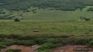 Полет на Долину Гейзеров и Узон.