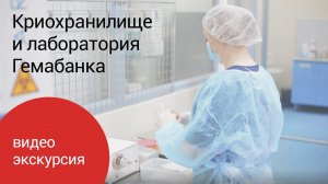 Жизнь Гемабанка: экскурсия в лабораторию и криохранилище Гемабанка.