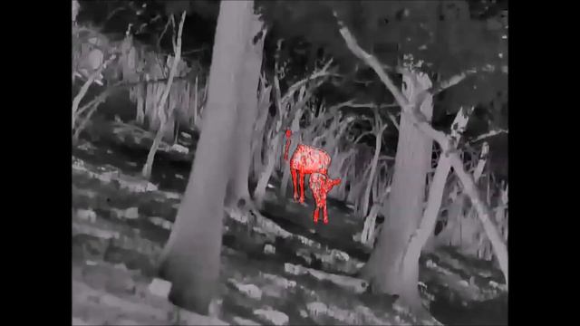 GUIDE TK 631 Новый бренд . Новый тепловизионный монокуляр для России смотреть онлайн