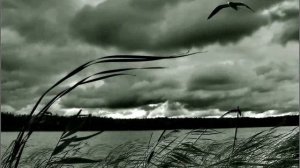 Плач Ярославны Ролик