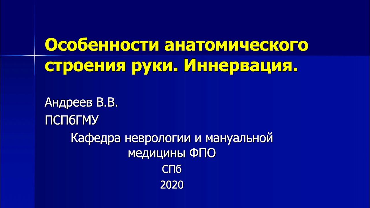 Андреев В.В. Особенности анатомического строения руки. Иннервация. смотреть онлайн