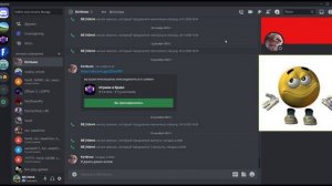 Топ 5 фактов про ослов!