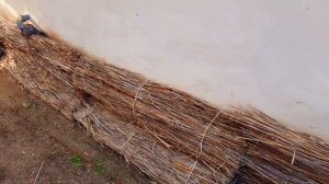 Бесплатно утеплить фундамент на зиму. Высушить саманную стену. Камышовый мат.