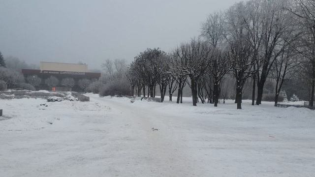 Царское Село,мороз..