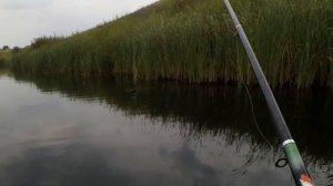 ЩУКА НА ПОПЛАВОК В ИЮЛЕ С ЛОДКИ