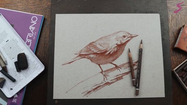 О курсе "Знакомство с графикой" смотреть онлайн