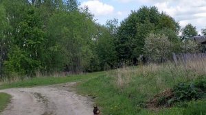 Брошенная деревня в глубинке.Одоевский район. Жестовое.Тульская область.