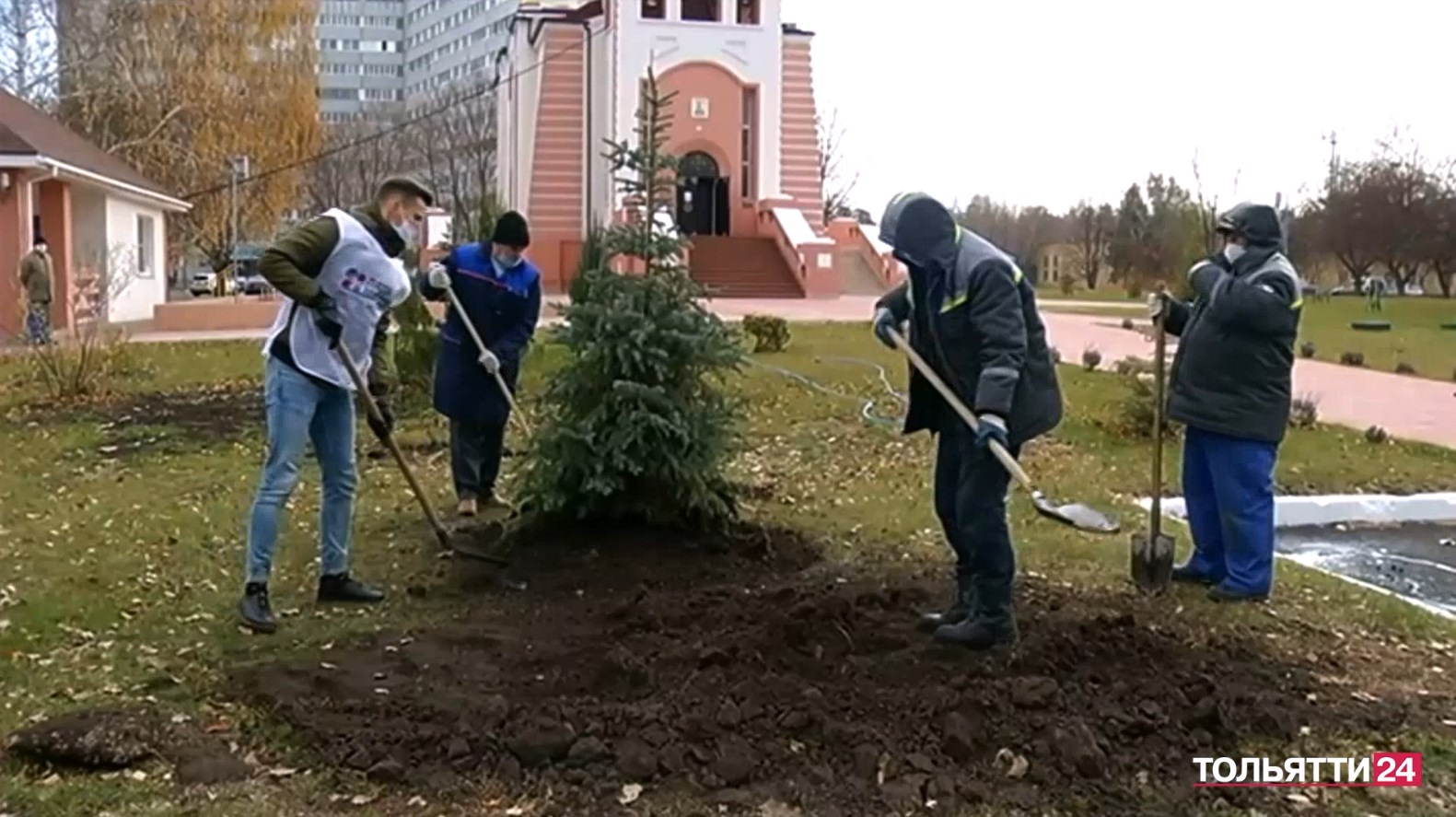 Сажаем ёлку в Медгородке