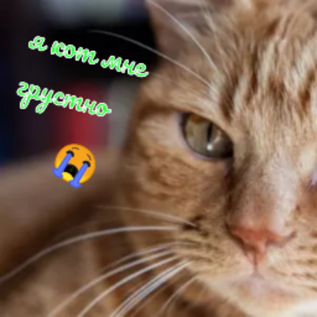 ШОК!!!!