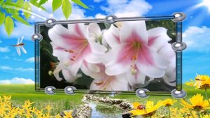 Танго цветов1.mp4