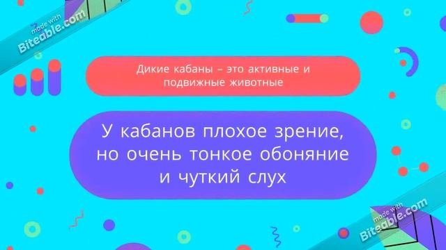 Животный мир на букву К