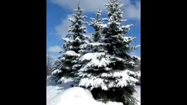 Борисов зимний смотреть онлайн