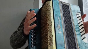 Гармонь "Троянда".