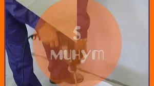 Как наносить декоративную штукатурку Шуба. Штукатурка Шуба.