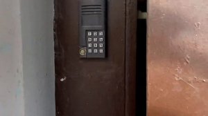 гуляю по Адмиралтейскому району