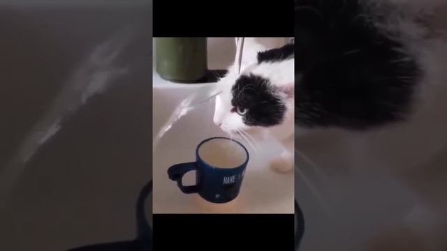 Когда расстался с самым дорогим человеком