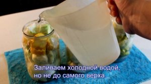 Маринованные хрустящие патиссоны на зиму. Простой рецепт.