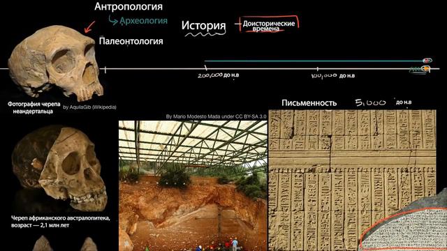 История и доисторические времена (часть 1) | Хронология эволюции человека | Всемирная История