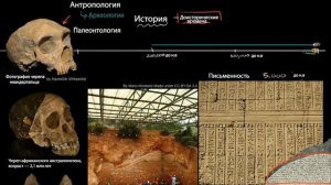 История и доисторические времена (часть 1) | Хронология эволюции человека | Всемирная История