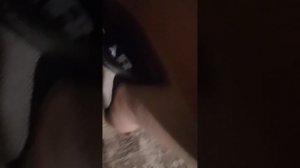 lv_0_20240826223357.mp4