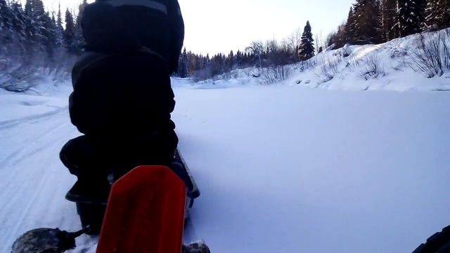 Паксус заготовка дров смотреть онлайн