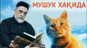 Мушук ҳақида   Mushuk haqida Shayx Muhammad Sodiq Muhammad Yusuf 2022