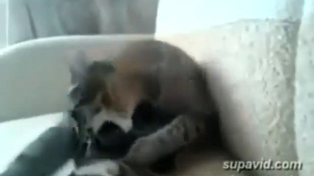 На 5 секуде, вообще прикол) смотреть онлайн