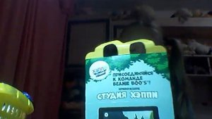 Делаю домик из коробки хэпи мил