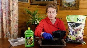 ВАЖНО ЗНАТЬ! ПОСЕВ БАКЛАЖАНОВ НА РАССАДУ? | Обработка семян баклажана в янтарной кислоте