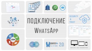 Подключение WhatsApp в программе для стоматологии | Dentist Plus 2.0